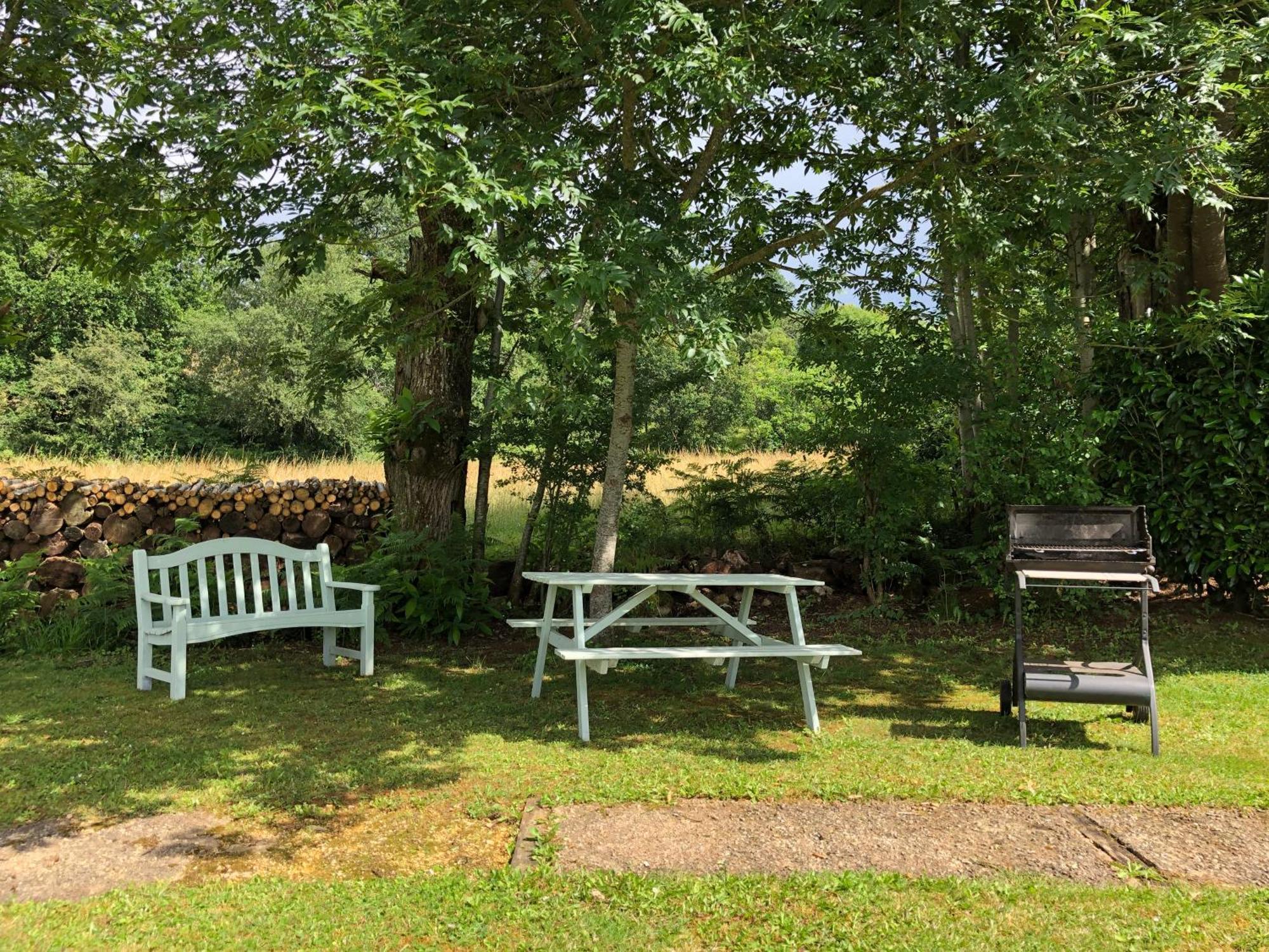 Bed and Breakfast Les Jonquilles Domme Zewnętrze zdjęcie